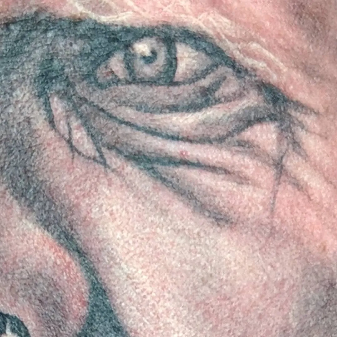 custom tattoos tattoo by TJ Cornelius at Fallen Raven Tattoo Studio in Simpsonville, SC