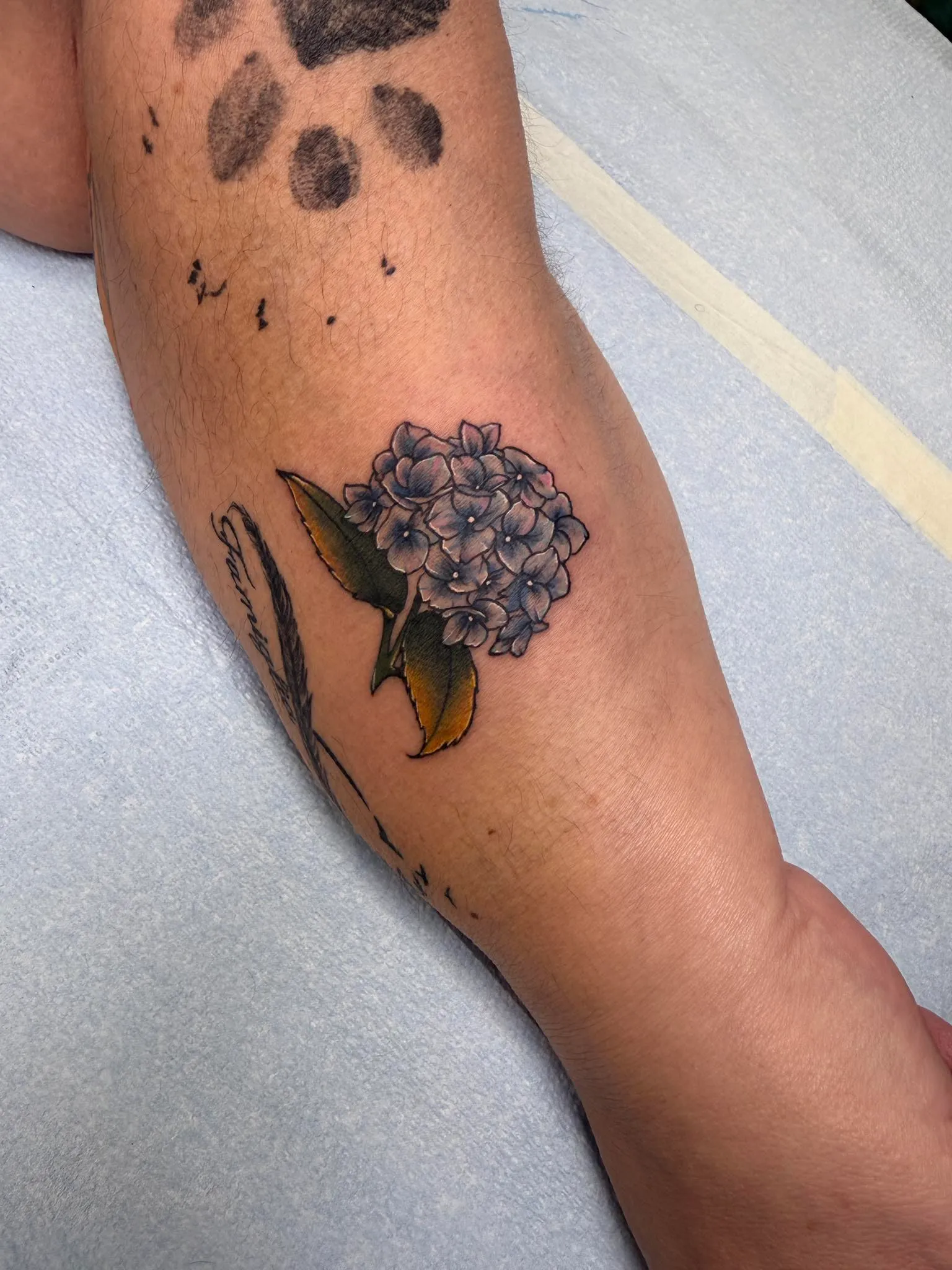 small tattoos tattoo by Olivia Hart at Fallen Raven Tattoo Studio in Simpsonville, SC